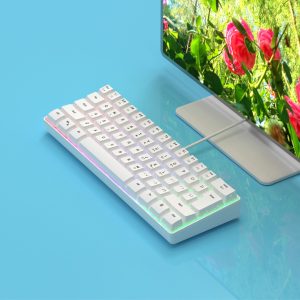 Mini Portable 60% Ratio White Wired Gaming Keyboard, Compact 61-Key RGB Luminous Translucent USB Keyboard, Color Button Backlit Keyboard, High And Low Key Ergonomic Design Transparent Middle Board Cover Flowing Light Changing Color Computer Notebook Desktop All-in-One Keyboard